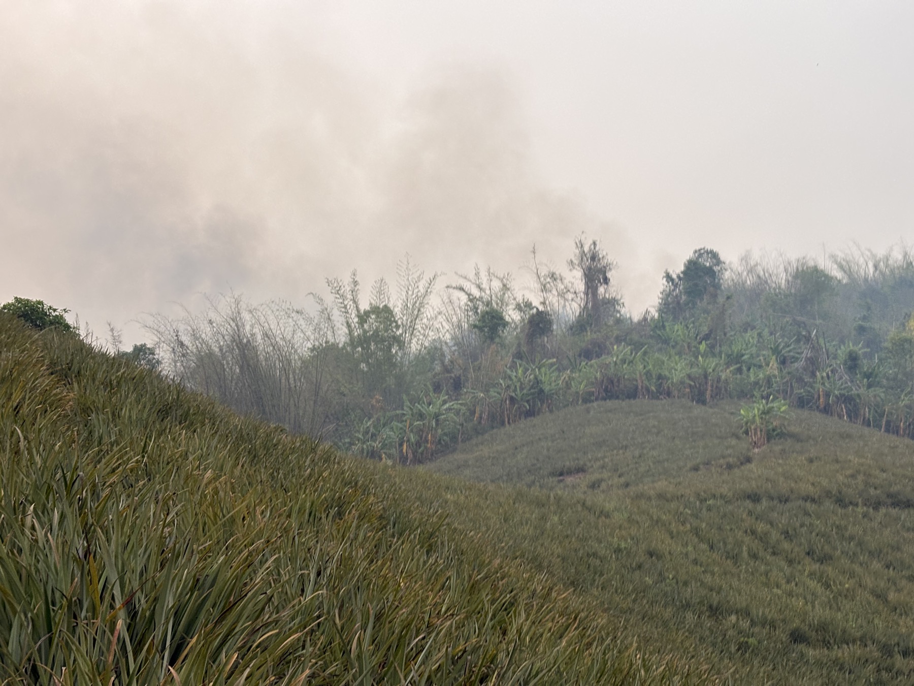 Smoky air over fields and hills.